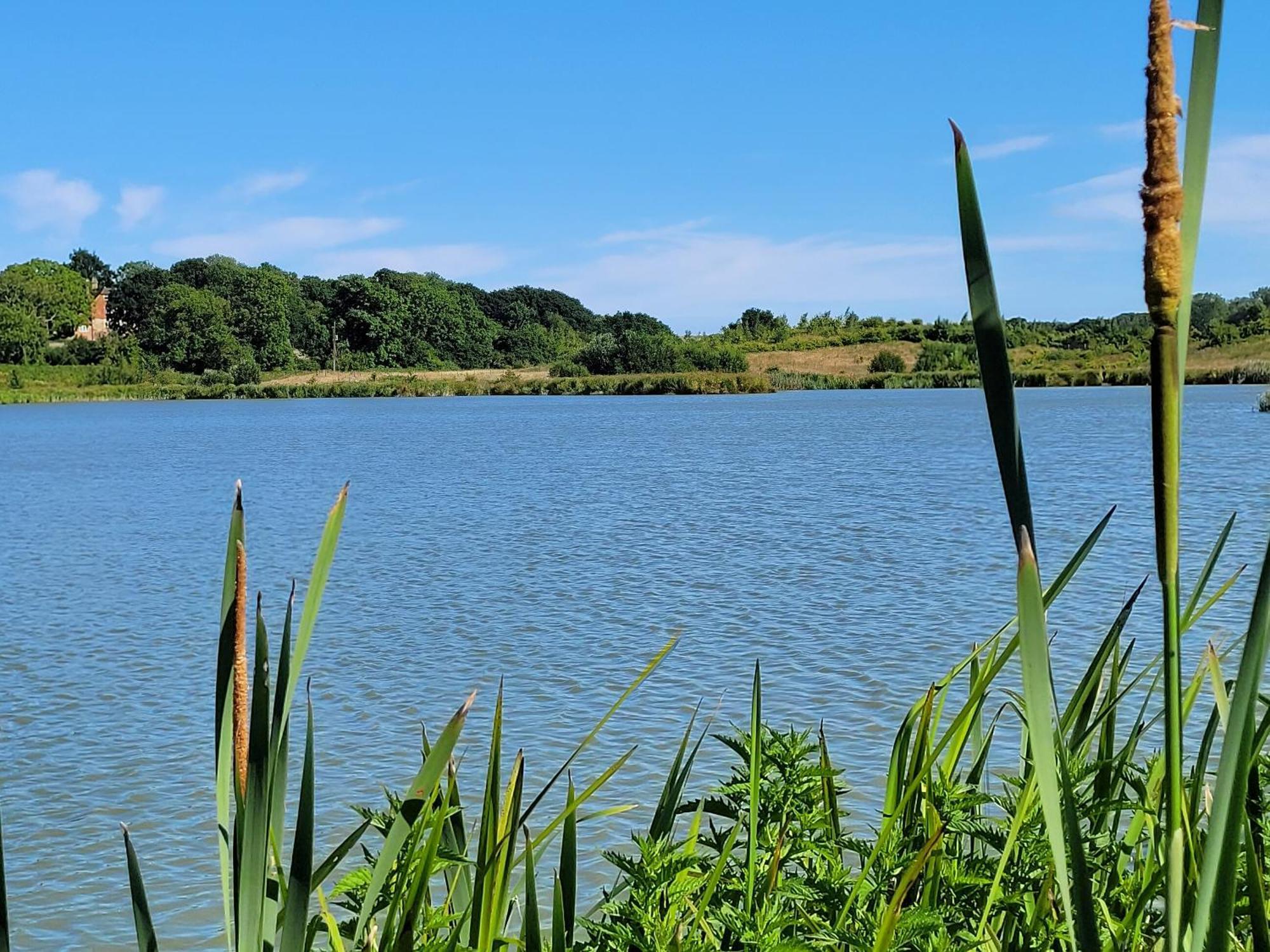 Hayfield Haven-Uk40691 Βίλα Crowhurst  Εξωτερικό φωτογραφία