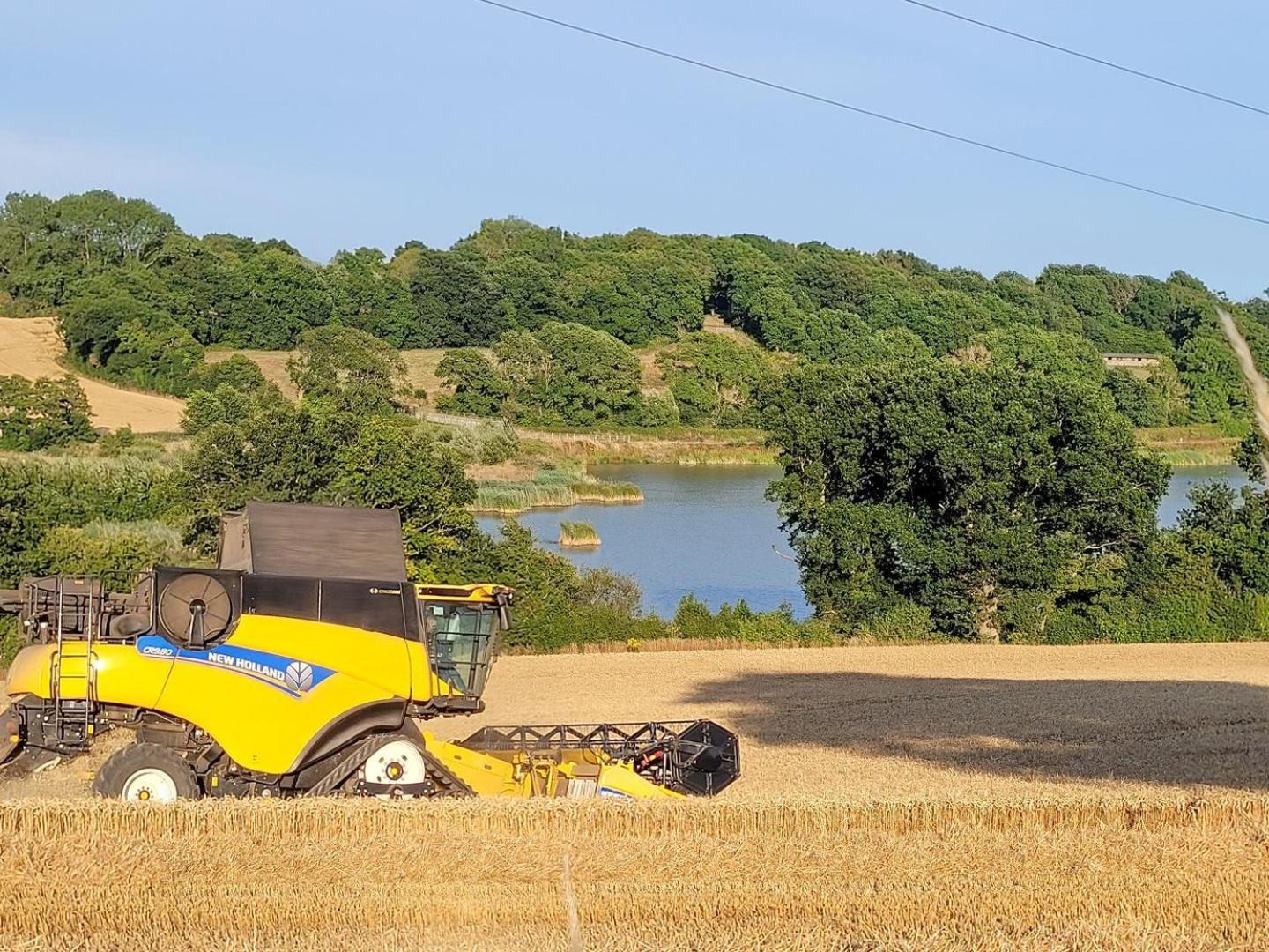 Hayfield Haven-Uk40691 Βίλα Crowhurst  Εξωτερικό φωτογραφία