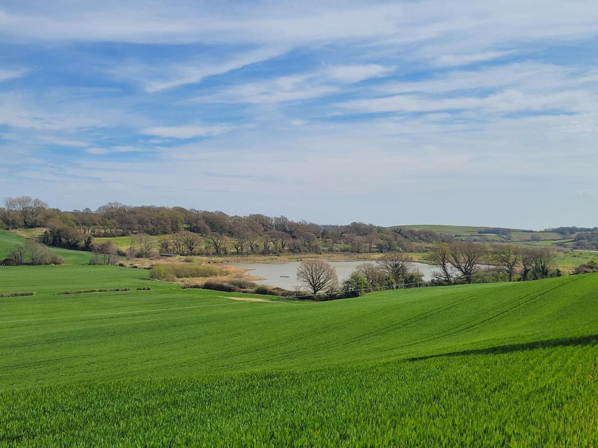 Hayfield Haven-Uk40691 Βίλα Crowhurst  Εξωτερικό φωτογραφία